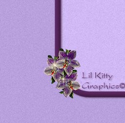 Lil Kitty Logo