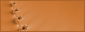 97_2.gif (4248 bytes)