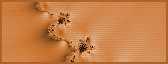 97_3.gif (5233 bytes)